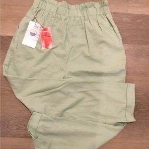 Cisono Pistachio Linen Blend Pleated Pants with Wide Belt Loops